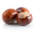 Collect as many conkers as you can!